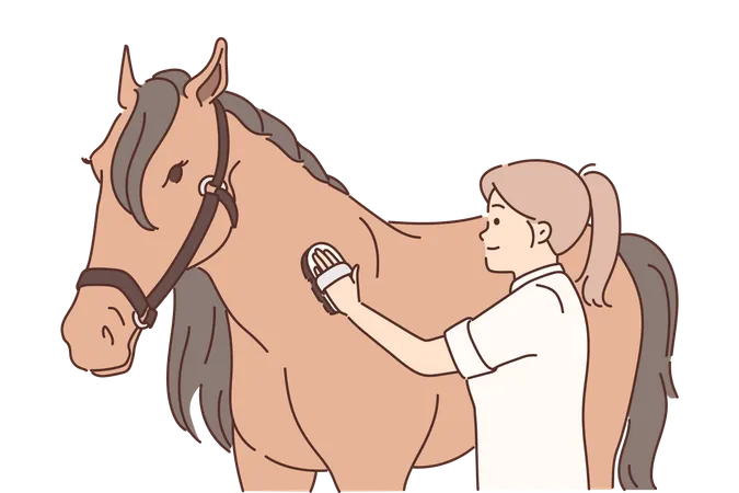 Femme grattant la brosse sur la peau de cheval  Illustration