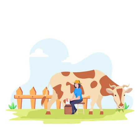 Une ouvrière agricole traite une vache avec un seau rempli de lait  Illustration