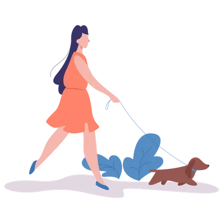 Une femme marche avec un chien  Illustration