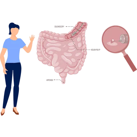 Femme à la recherche d'une douleur au côlon  Illustration