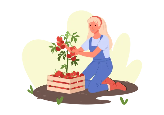 Femme récolte des légumes  Illustration