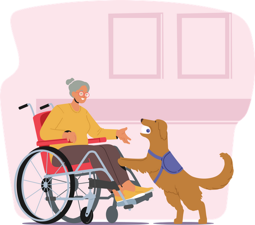 Femme âgée handicapée en fauteuil roulant accompagnée de son fidèle chien-guide  Illustration