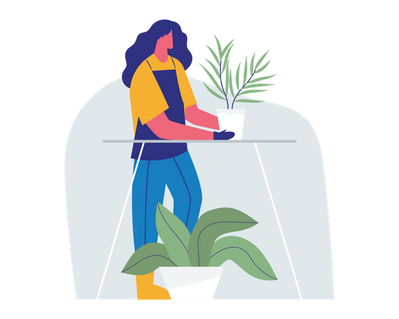 Femme prenant soin d'un pot de plante  Illustration