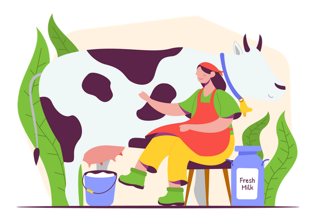 Femme traite une vache  Illustration