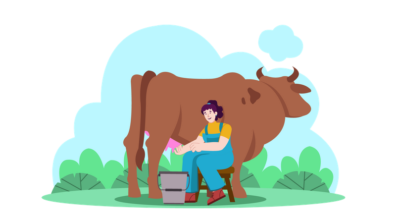 Femme traite une vache  Illustration