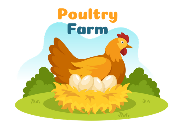 Ferme de poulet  Illustration