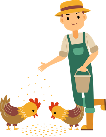 Agriculteur nourrissant du poulet et du coq  Illustration
