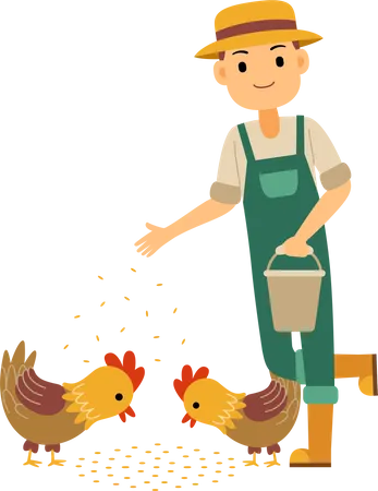 Agriculteur nourrissant du poulet et du coq  Illustration