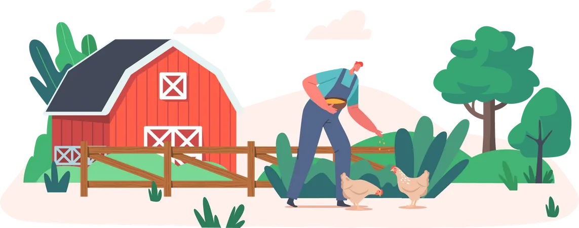 Agriculteur nourrissant du poulet  Illustration