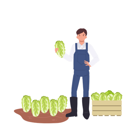 Agriculteur avec chou chinois aux légumes  Illustration