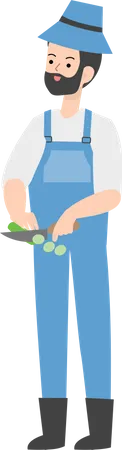 Agriculteur coupant un légume  Illustration