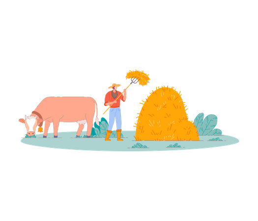 Agriculteur rassemblant une botte de foin avec une vache  Illustration