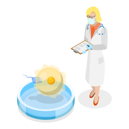 Fertilización in vitro  Ilustración