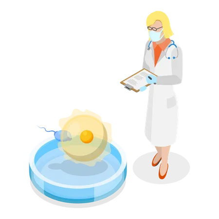 Ilustracion Vectorial Plana Isometrica 3 D De Fertilizacion In Vitro Embarazo Artificial Articulo 1 Ilustración