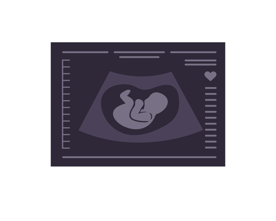 Fetus Sonography report  Illustration