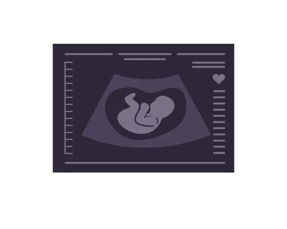 Fetus Sonography report  Illustration