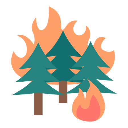 Feu de forêt  Illustration