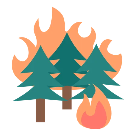 Feu de forêt  Illustration