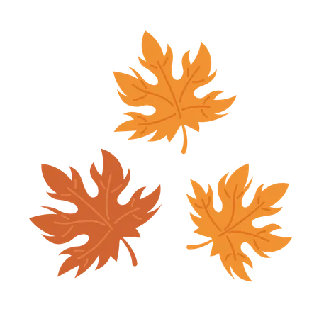 Feuilles d'érable automnales  Illustration