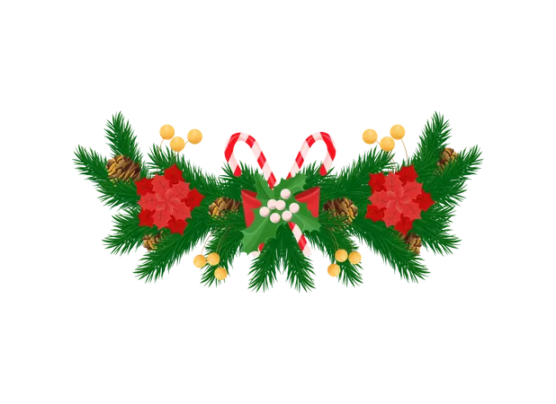 Fichtenzweige und weißer Mistelzweig Roter Weihnachtsstern  Illustration