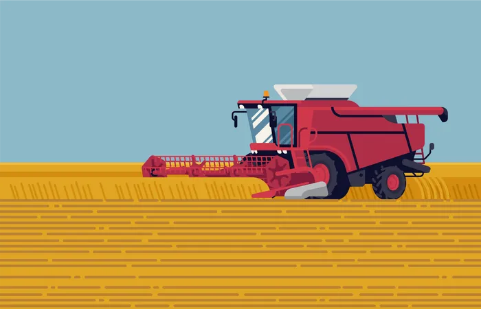 Field harvest with grain header combine harvester reaping crops  Illustration