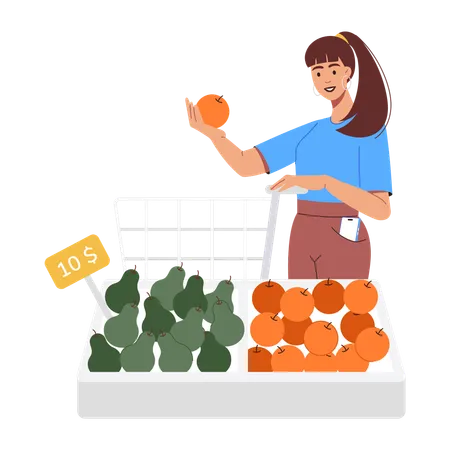 Fille faisant l'épicerie  Illustration