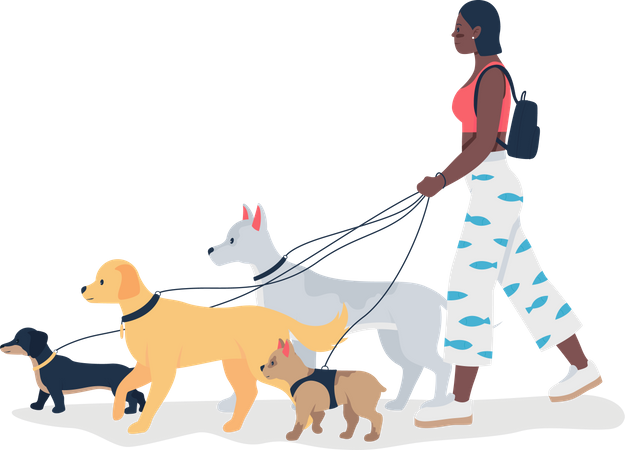 Fille afro-américaine promenant des chiens en laisse  Illustration