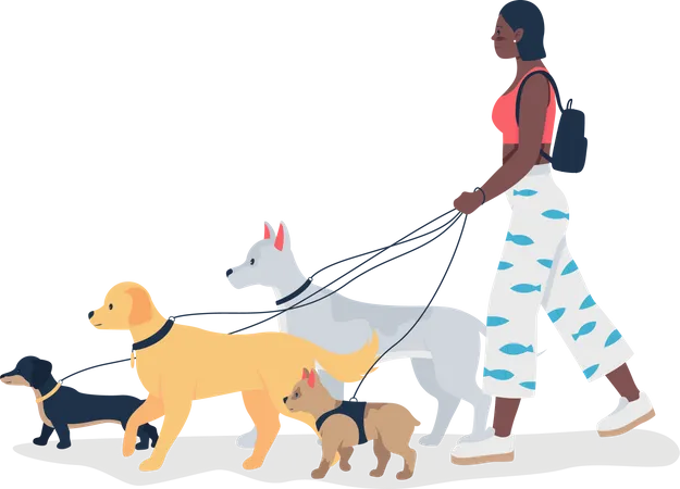 Fille afro-américaine promenant des chiens en laisse  Illustration