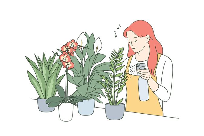 La fille arrose les plantes d'intérieur  Illustration