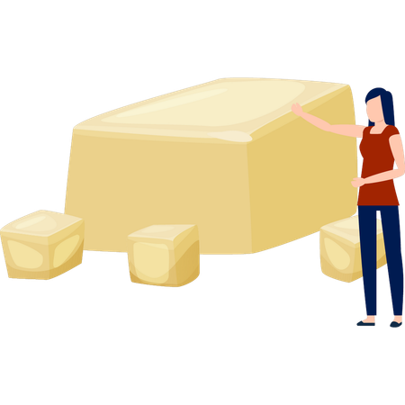 Fille expliquant le cube de fromage jaune  Illustration