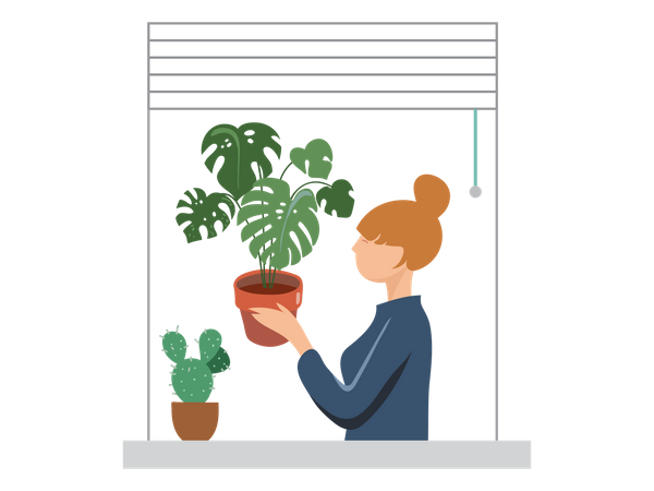 Fille mettant un pot de plante dans la fenêtre  Illustration