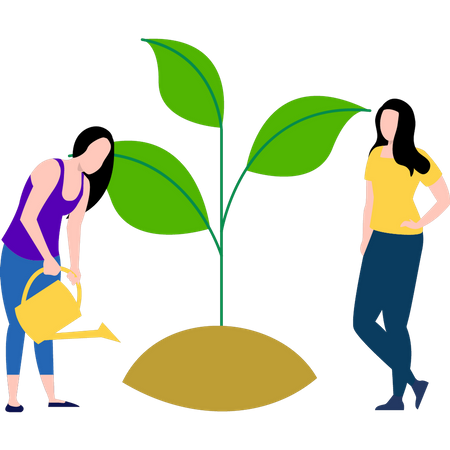 Filles arrosant la plante  Illustration