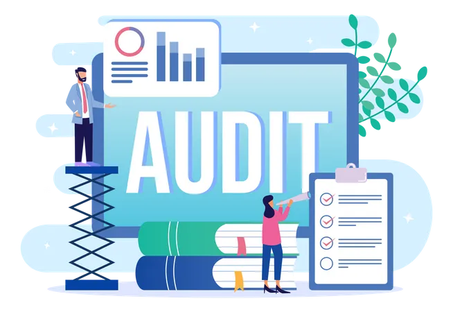 Financial Audit  Illustration