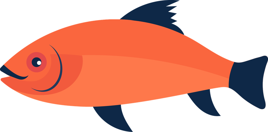 Fisch  Illustration