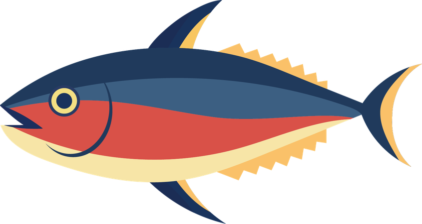 Fish  Illustration