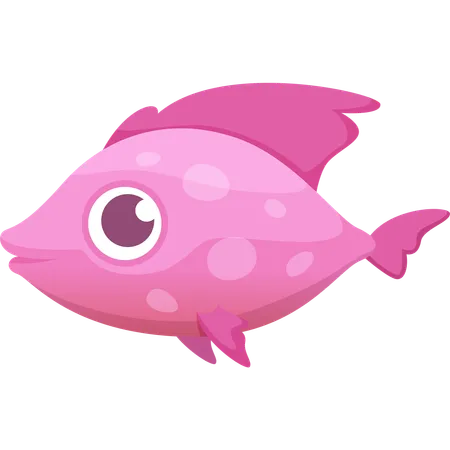 Fish  Illustration