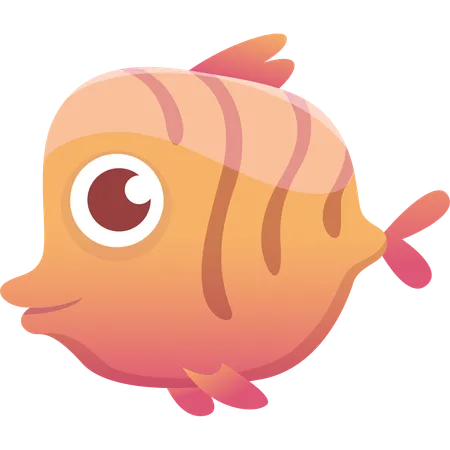 Fish  Illustration