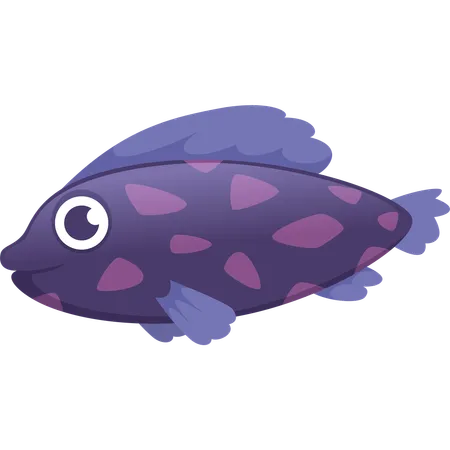 Fish  Illustration