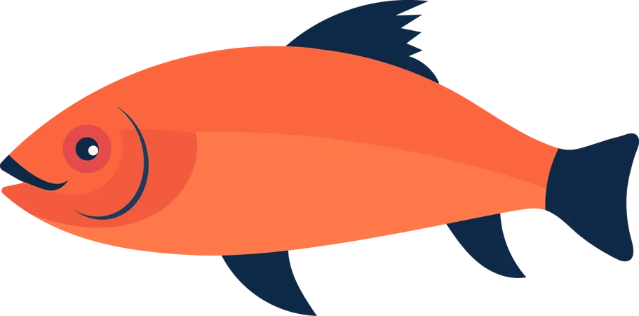 Fish  Illustration