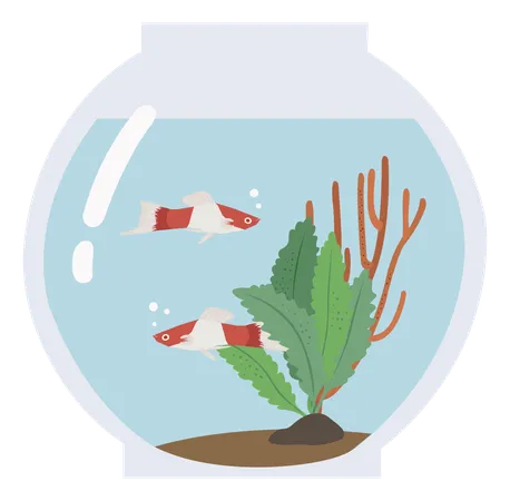Fish Tank  Illustration