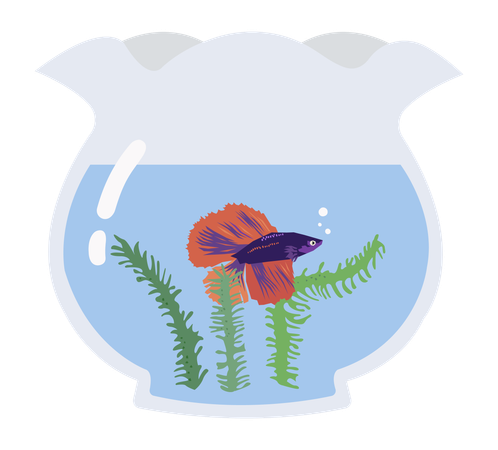 Fish Tank  Illustration