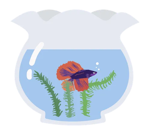 Fish Tank  Illustration