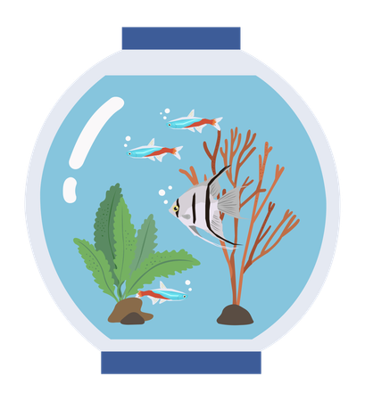 Fish Tank  Illustration