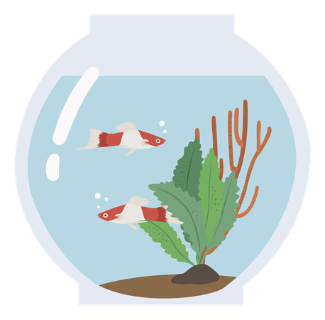 Fish Tank  Illustration