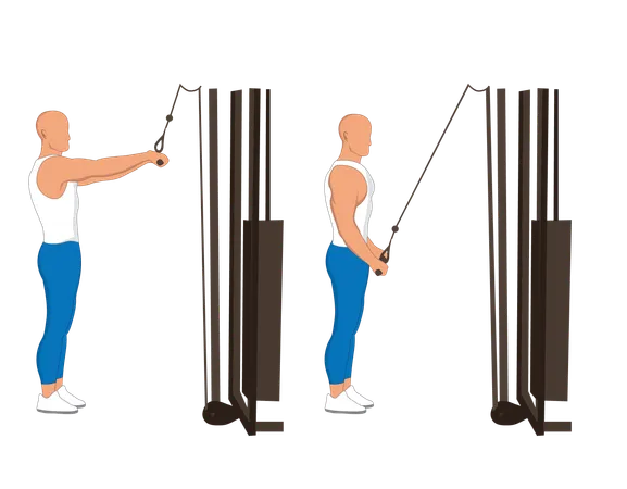 Homem de fitness fazendo polia de linha de tríceps  Illustration