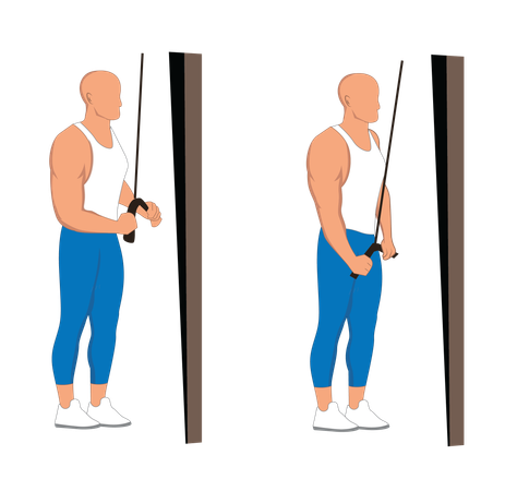 Homem de fitness fazendo polia de tríceps  Illustration