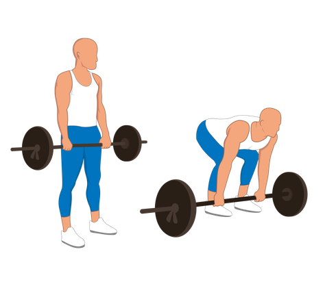 Fitness man doing back extension barbell  Illustration