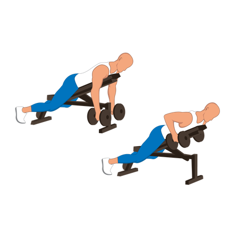 Fitness man doing back fly double handed dumbbell  Illustration