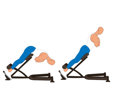 Fitness man doing back machine  Illustration