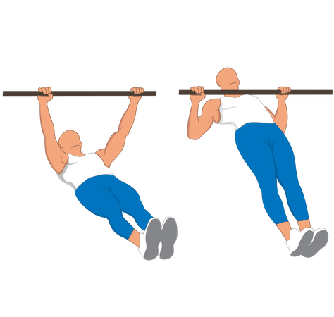 Fitness man doing barbell pushup  Illustration